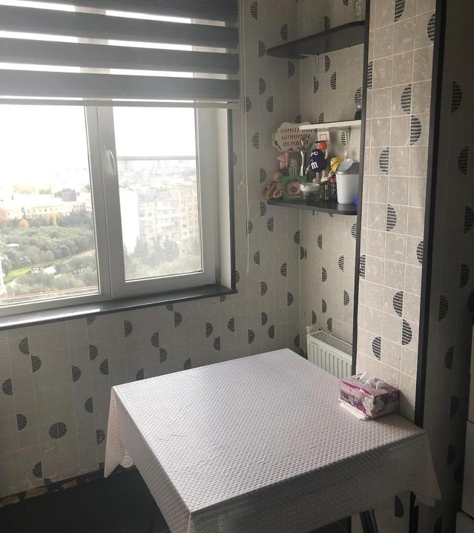 Baku Apartment Mir Jalal Street